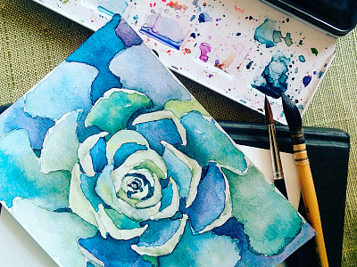 Echeverria echeverria painting succulent watercolor winsor newton