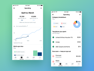 Nerdwallet Spending tab app chart dashboard graph spending