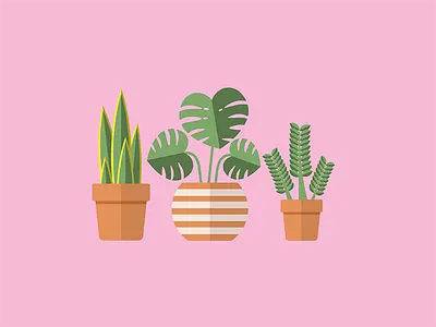 Plant Family flat icon icon monstera plant plants sansevieria zzplant