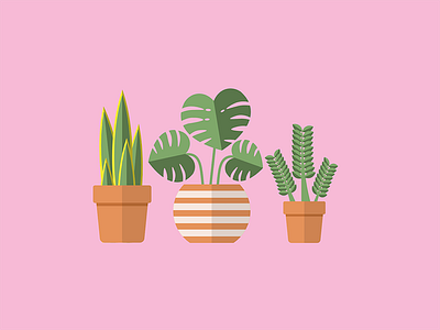 Plant Family flat icon icon monstera plant plants sansevieria zzplant