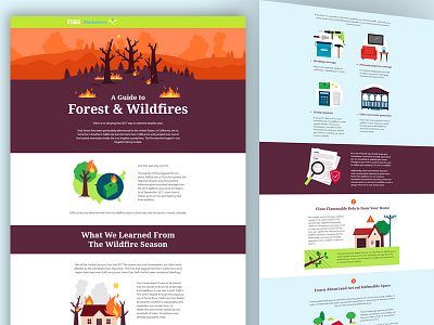 Forest Wildfair creative layout flat illustrator morden vactor