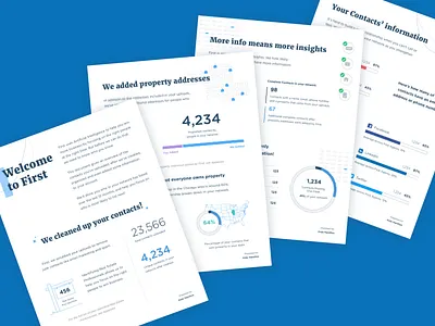 An analysis of a customer's personal network analysis charts data graphs print report