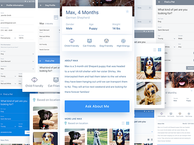 Pet Finder App app application design ios iphone 10 iphone x mobile pet ui uiux ux