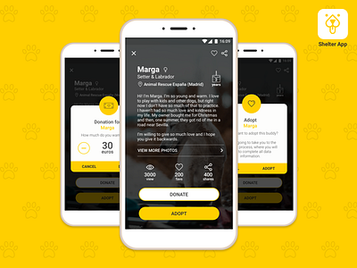 Daily UI #006 - User Profile 006 animals app challenge daily daily ui design shelter ui user profile ux