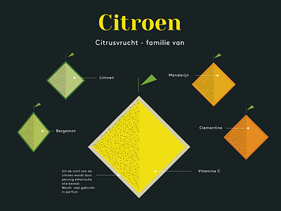 Citroen fruit illustration lemon