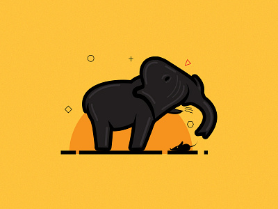 Elephant illustrations