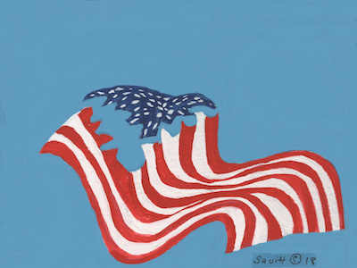 Flag Copy blue states red states