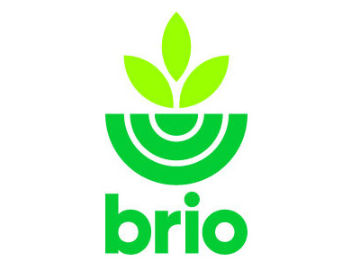 Logo design proposal for Brio clean farm flat green plant simple