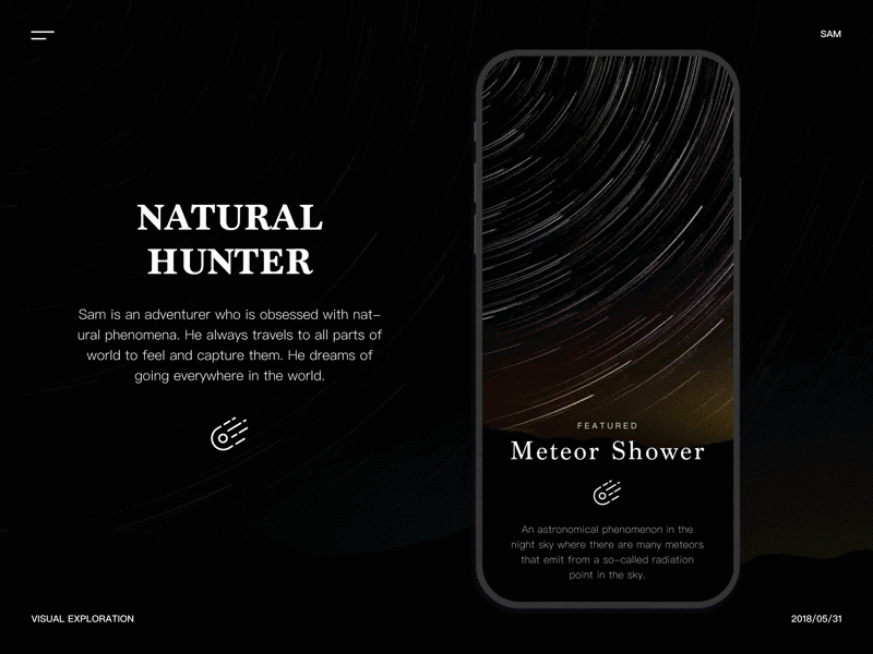 Natural Hunter animation ui ux