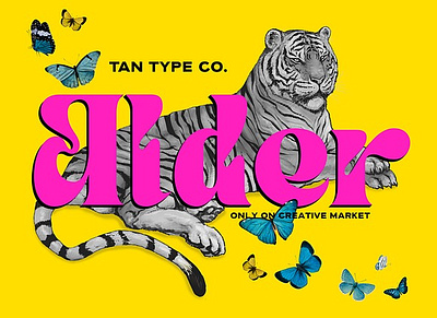 TAN - ALDER design display font display type display type font display typeface elegant font fashion font hype type font modern font retro font