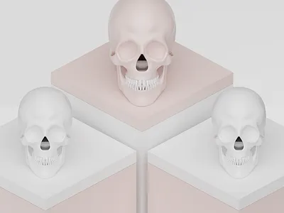 3D Skull 3d 3d skull blender blender 3d death head human pink skull white