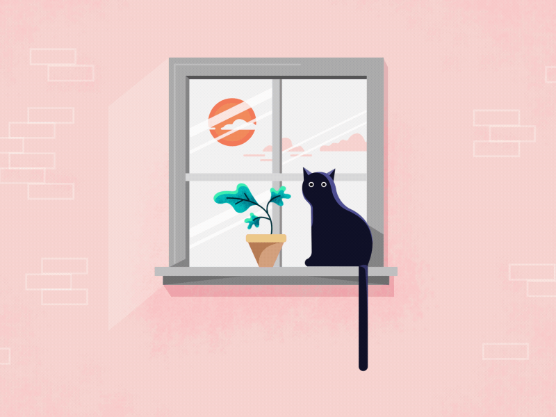 Catastrophe cat plant swipe window