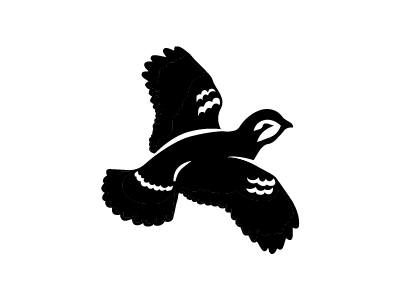 Quail bird hunting icon logo quail