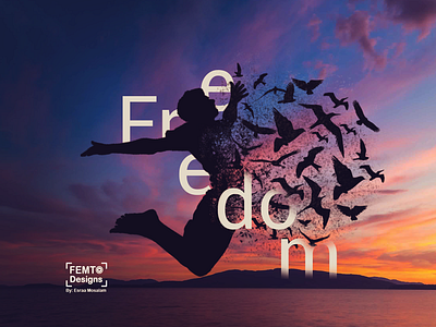 Freedom design femto photoshop