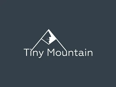 Tiny Mountain brand business flat identity logo minimalist mountain