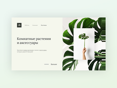 Indoor Plants & Accessories Store Design Concept accessories concept green latvia plant riga store ui ux web