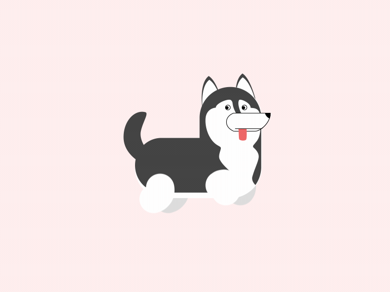 Doge 2d animation