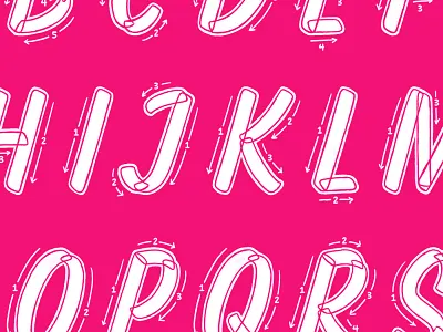 Brush Script Ductus brush brush script ductus lettering sign painting type typography