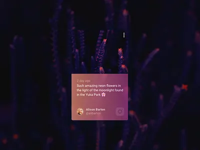 Social Card - Instagram card comment facebook gradient landscape social ui ux