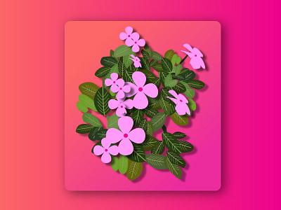 Flowerspink flowers graphic illustrations