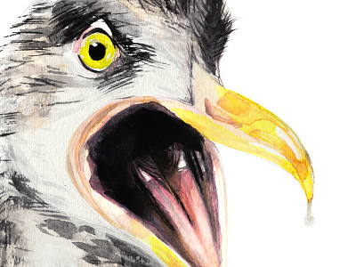 Seagull Drool caw drool handmade paint seagull watercolour