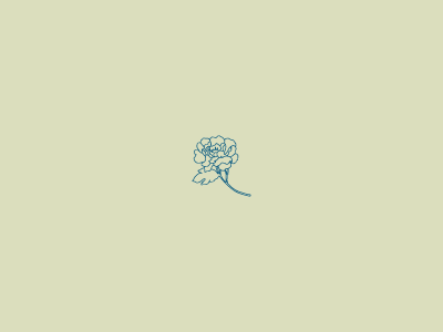 Peony floral flower flowers icon monoline peony