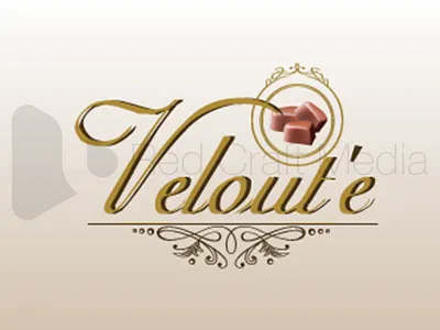 48 graphic design illustrator logo design