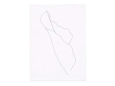 Never truly davidcallow fold illustration leaf line natural nature organic plant