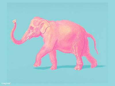 Pink Elephant animal art color design elephant illustration pink vintage