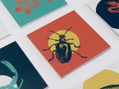 Illustrated Children's Match Game auburn design graphic illustration student