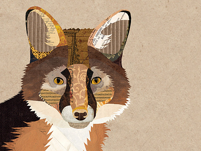 Mr. Fox animal collage collage illustration digital collage fox fox collage nature vintage collage vintage paper wildlife woodland