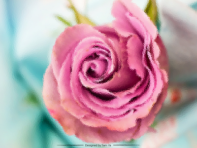 Flowers digital painting flowers illustration photoshop