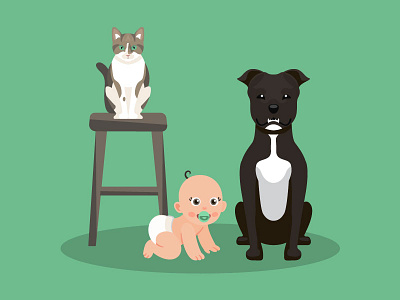 Fun family portrait baby cat dog family pit bull