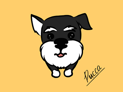 Pucca 2.0 illustration mini schnauzer procreate