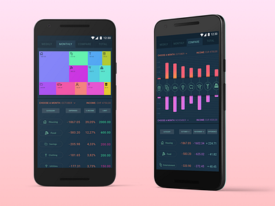 Budgetting App | Data Visualization Experiment budget data visualization expenses finance income interface money ui ux