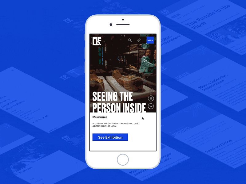 Mobile Museum dinosaurs iphone mobile mummy museum science ui ux web web design
