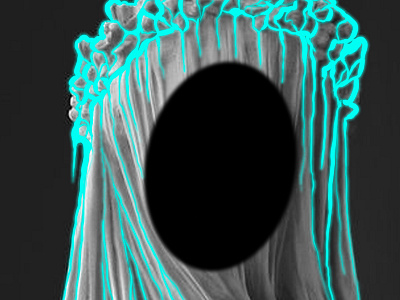 Saint Blank Face brand color illustrator logo monogram symbol texture typography