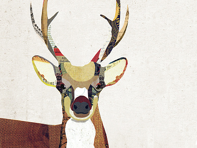 Deer Collage animal antlers collage collage illustration deer digital collage nature rustic vintage paper woodland