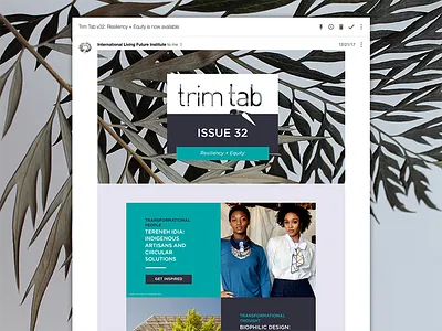 Trim Tab v32 branding graphic design