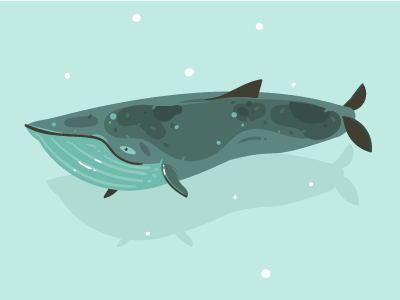 Whale Illustration art cartoon fish illustration ocean sea seaweed summer underwater water whale