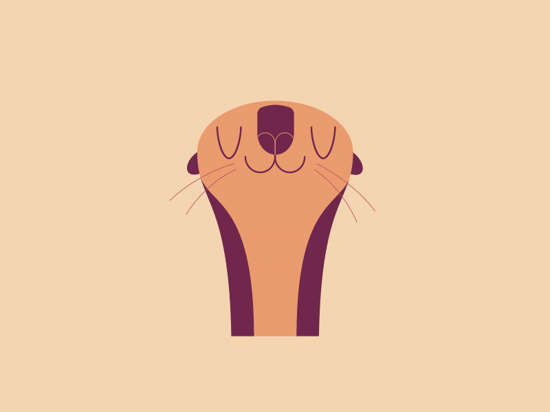 Loutre after effects animation gifs des copains illustration loutre motion design