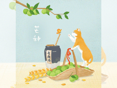 芒种 Bearded Grain illustration