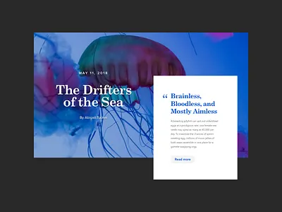 Jellyfish Card Details article card card design card style typography ui ui design