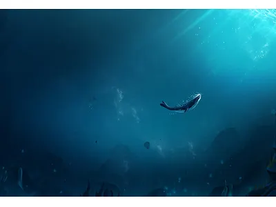 Whale animal color deep home illustration landscape motion graphics ocean stone under water whale work