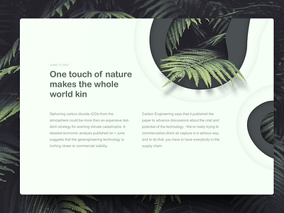 Nature Post article blog invision studio nature post