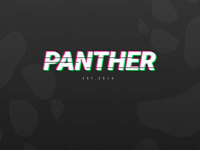 Panther Vibes panther team vibes vibration