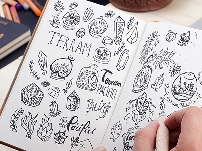 Sketch logo for Terram Pacifici branding handmade logo plants sketch terrarium