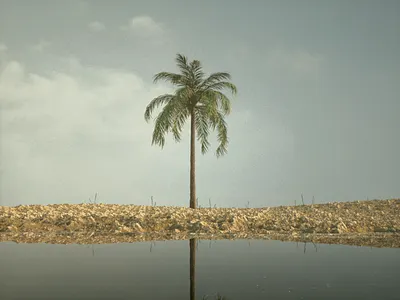 Lone Island 3d art c4d nature octane