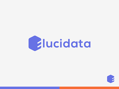 Elucidata branding identity logo mark