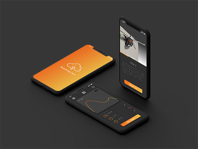 Momentum Diagnostic clay mockup dark mode diagnostic tool figma iphone x momentum